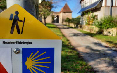 Wander- und Bikeparadies – Routentipps um Neuhaus